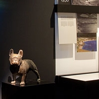Exposición sobre elBulli y Ferran Adrià